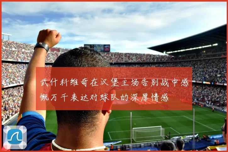 武什科维奇在汉堡主场告别战中感慨万千表达对球队的深厚情感